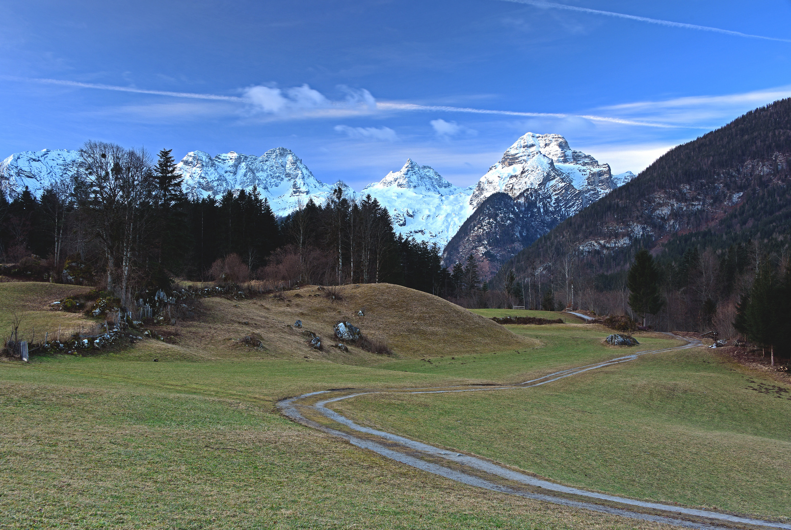 Wiesen und Berge