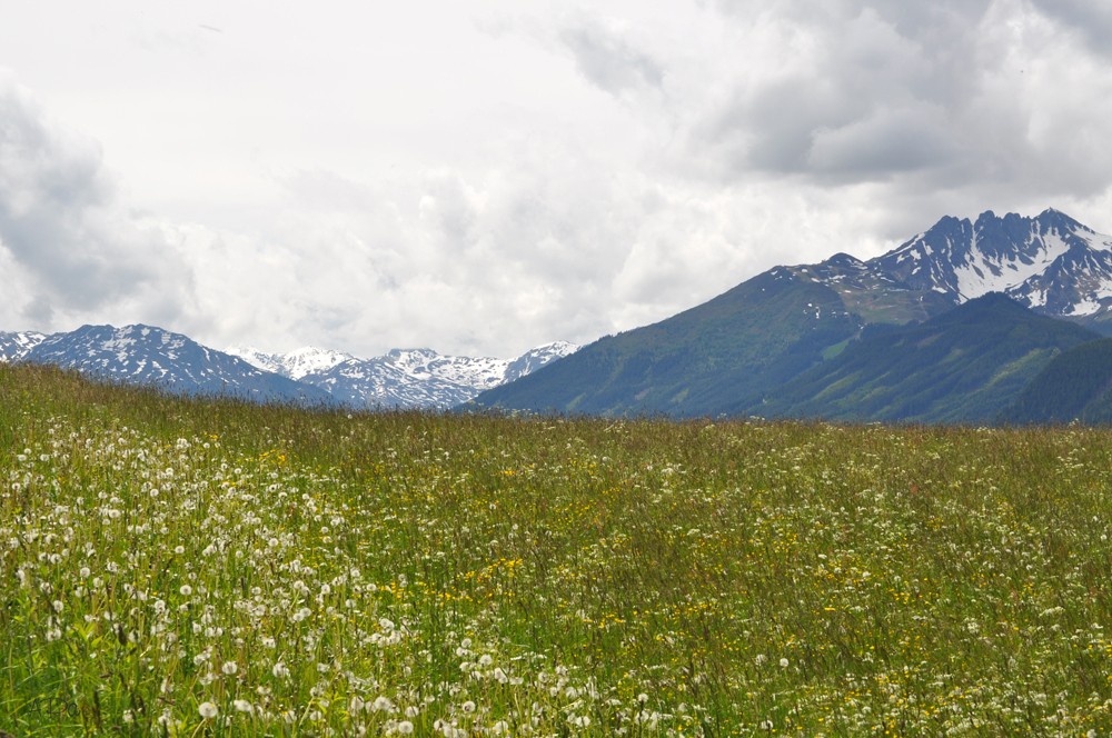 Wiesen und Berge...(2)