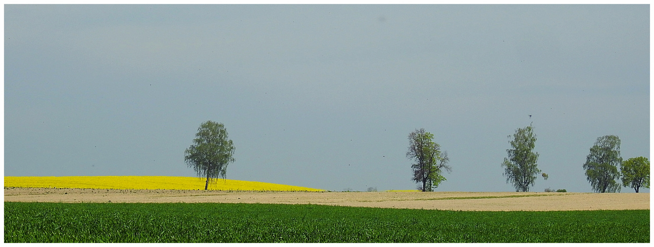 Wiesen und Felder 