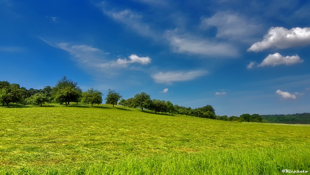 Wiesen und Felder