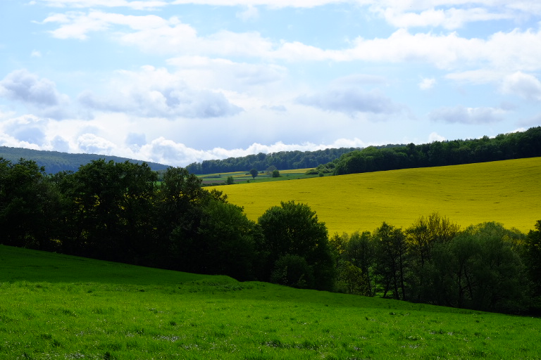 Wiesen und Felder