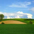 Wiesen und Felder im Odenwald 