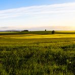 Wiesen und Felder kurz nach Sonnenaufgang