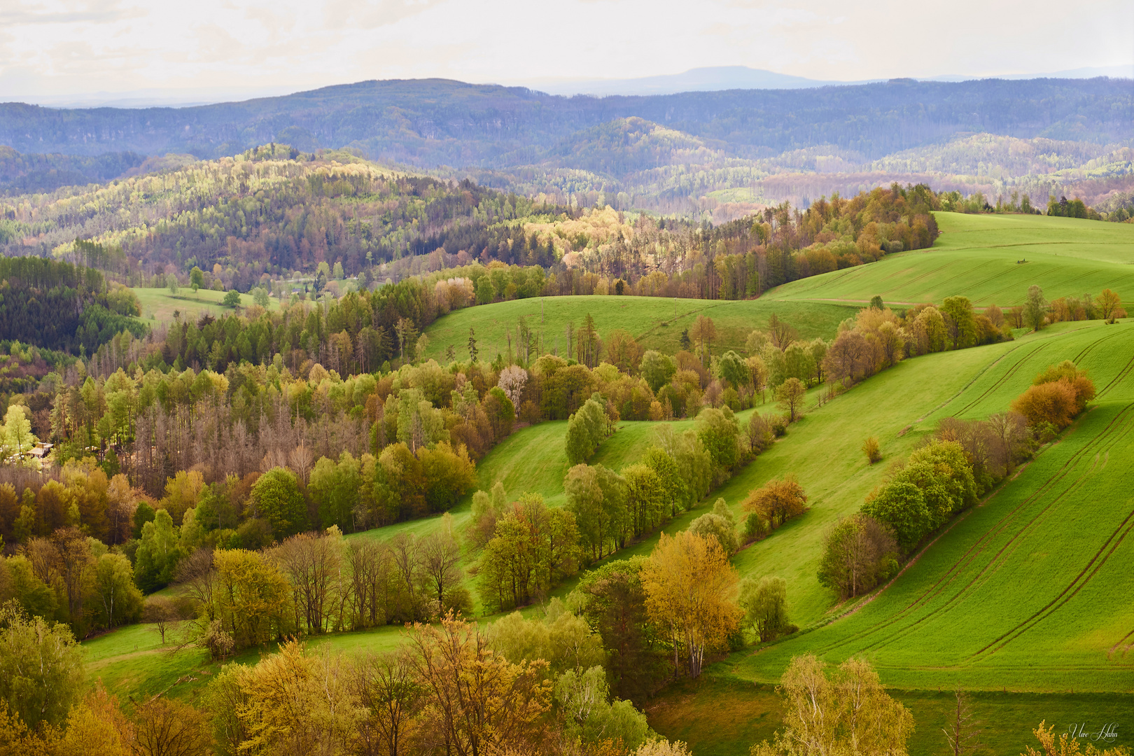 Wiesen und Hügel um Saupsdorf 1