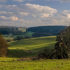 Wiesen und Wälder