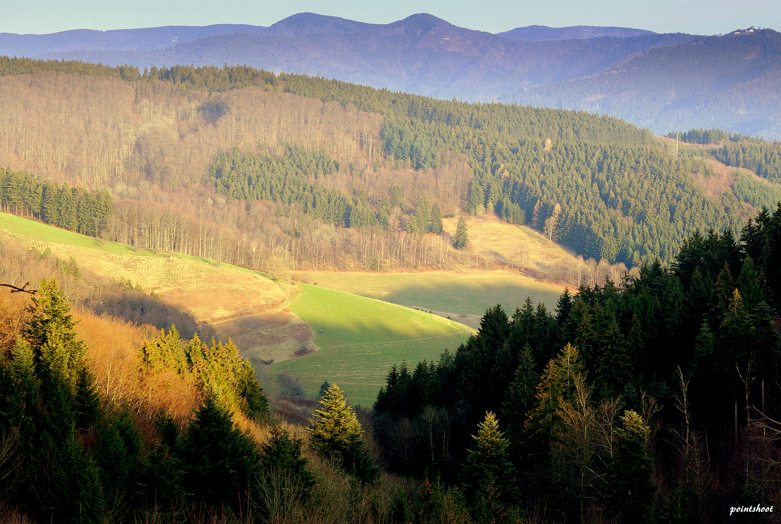 Wiesen und Wälder,