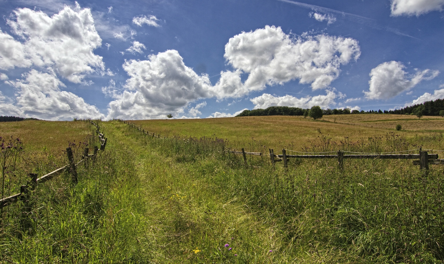 Wiesen und Weiden