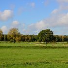 Wiesen und Weiden im Herbstlicht 2