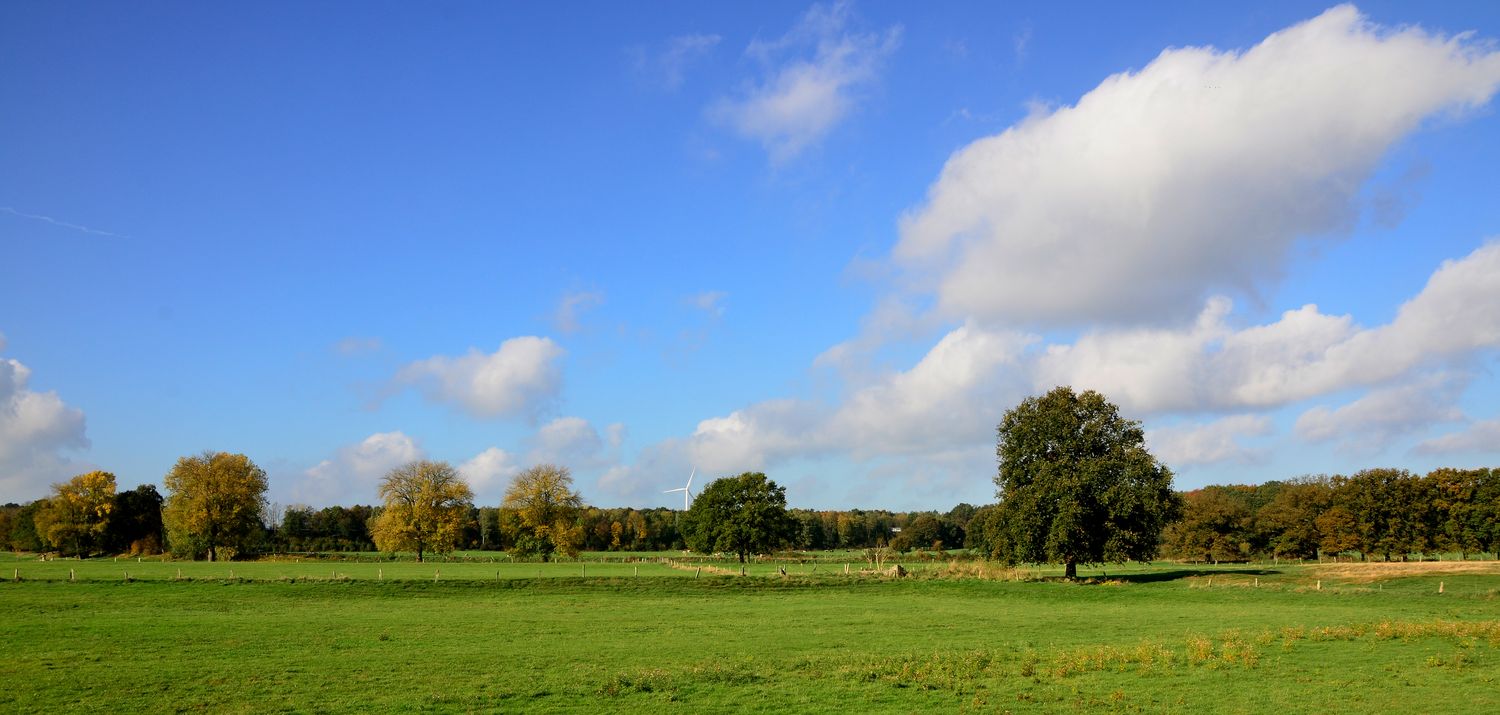 Wiesen und Weiden im Herbstlicht