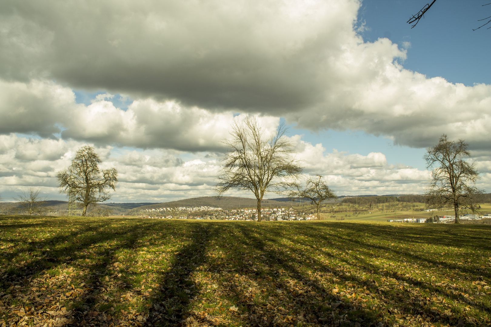 Wiesen und Wolken