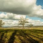 Wiesen und Wolken