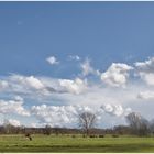 Wiesen und Wolken