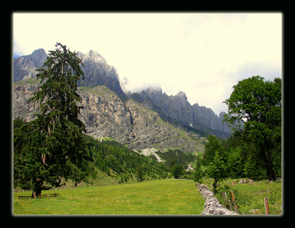 Wiesen, Wälder, Berge...