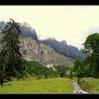 Wiesen, Wälder, Berge...