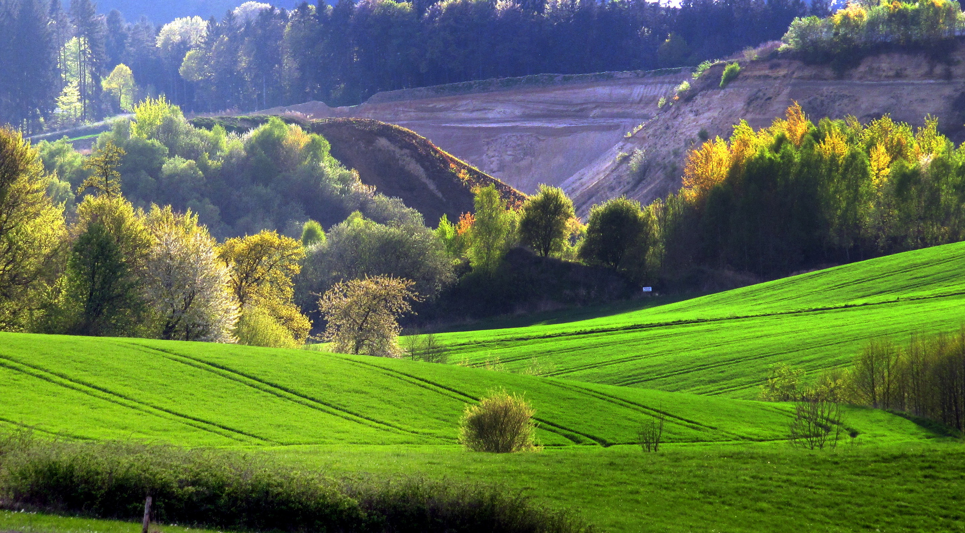 Wiesen, Wälder, Felder