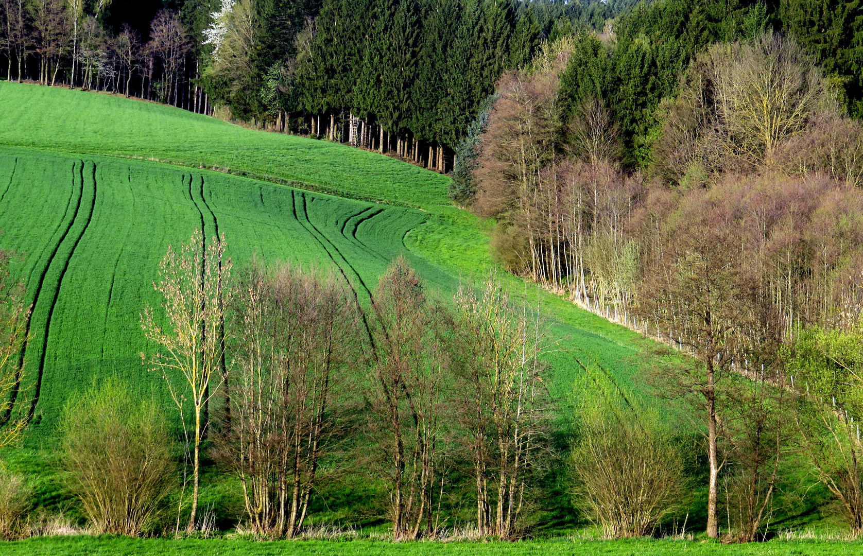 Wiesen, Wälder und Felder