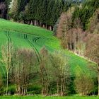 Wiesen, Wälder und Felder