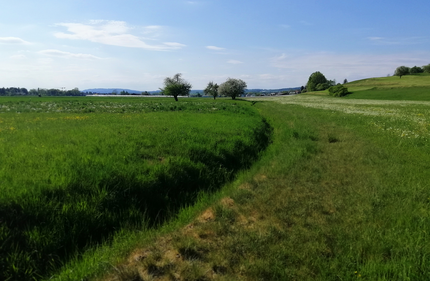 Wiesen-Wanderung