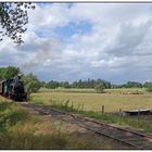 Wiesen & Wolken