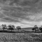 Wiesen & Wolken