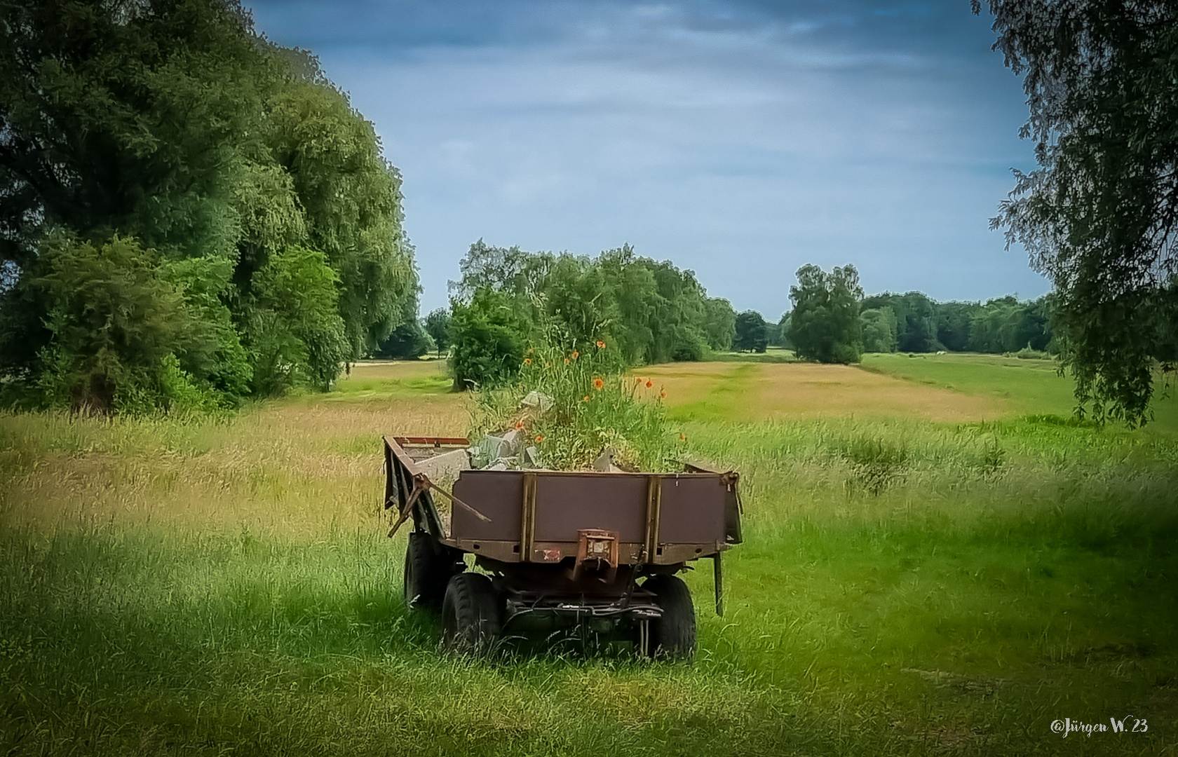 Wiesenanhänger