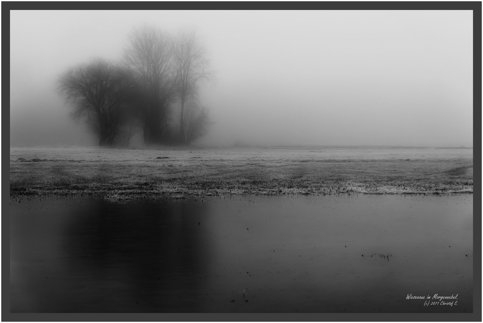 Wiesenaue im Morgennebel