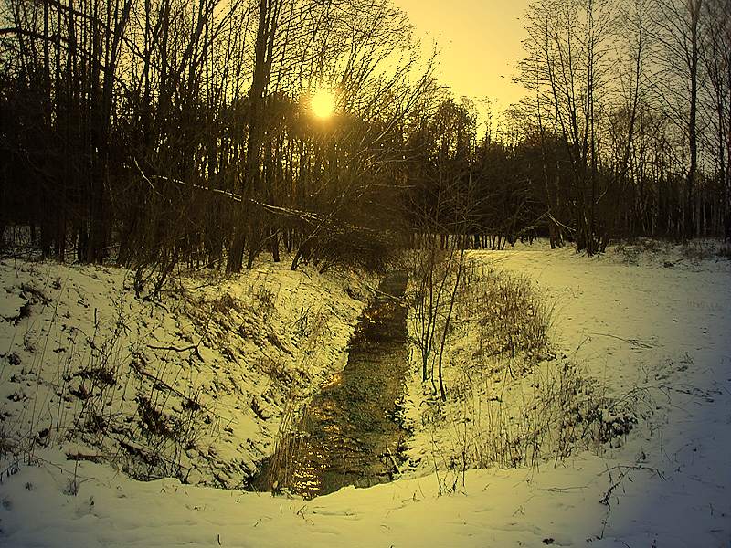 Wiesenbach im Winter ( Nachbearbeitet mit Photoimpact 6)