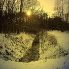 Wiesenbach im Winter ( Nachbearbeitet mit Photoimpact 6)