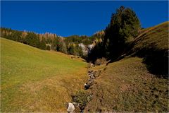 Wiesenbachl am Weg zum Kolmhaus