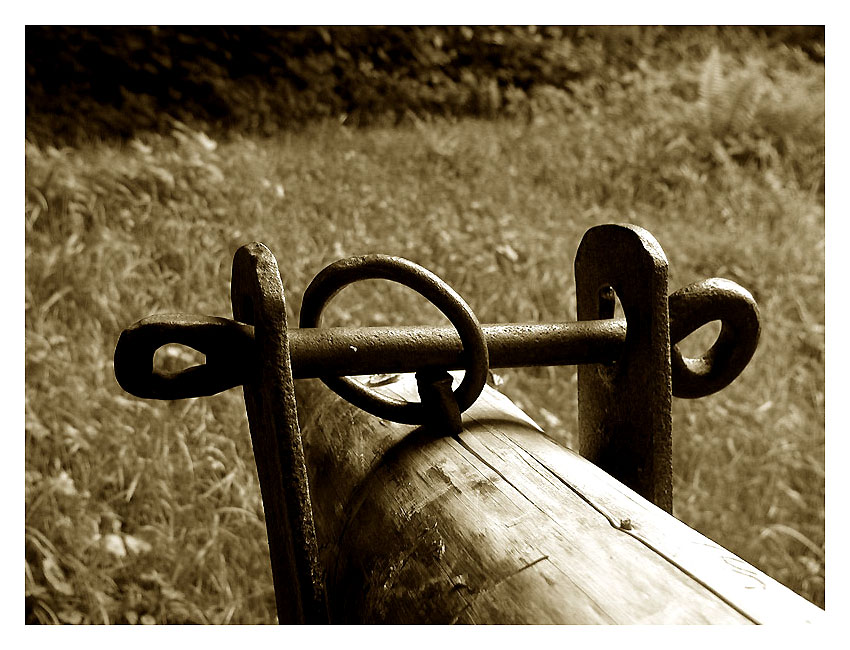 ...Wiesenbegrenzung Schwarzwald sepia...