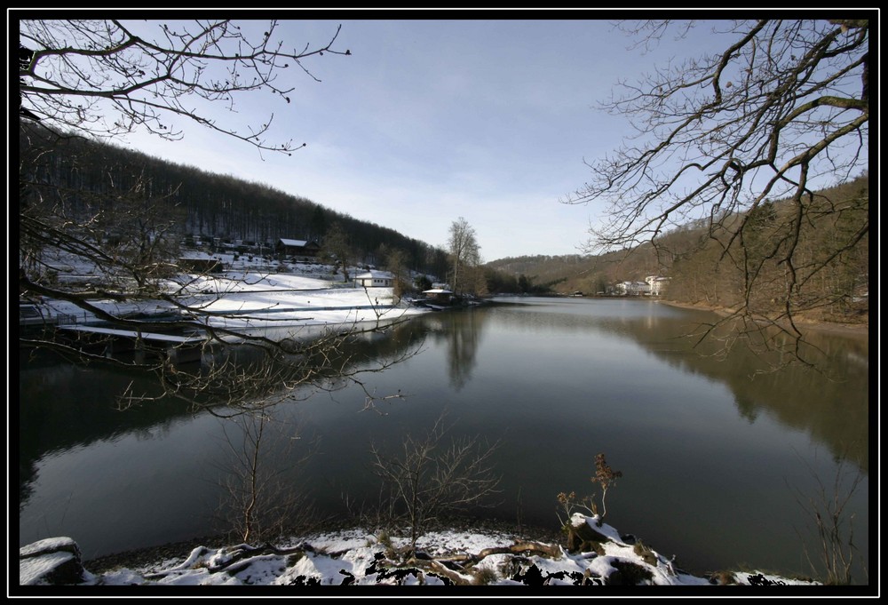 Wiesenbek im Winter 2008