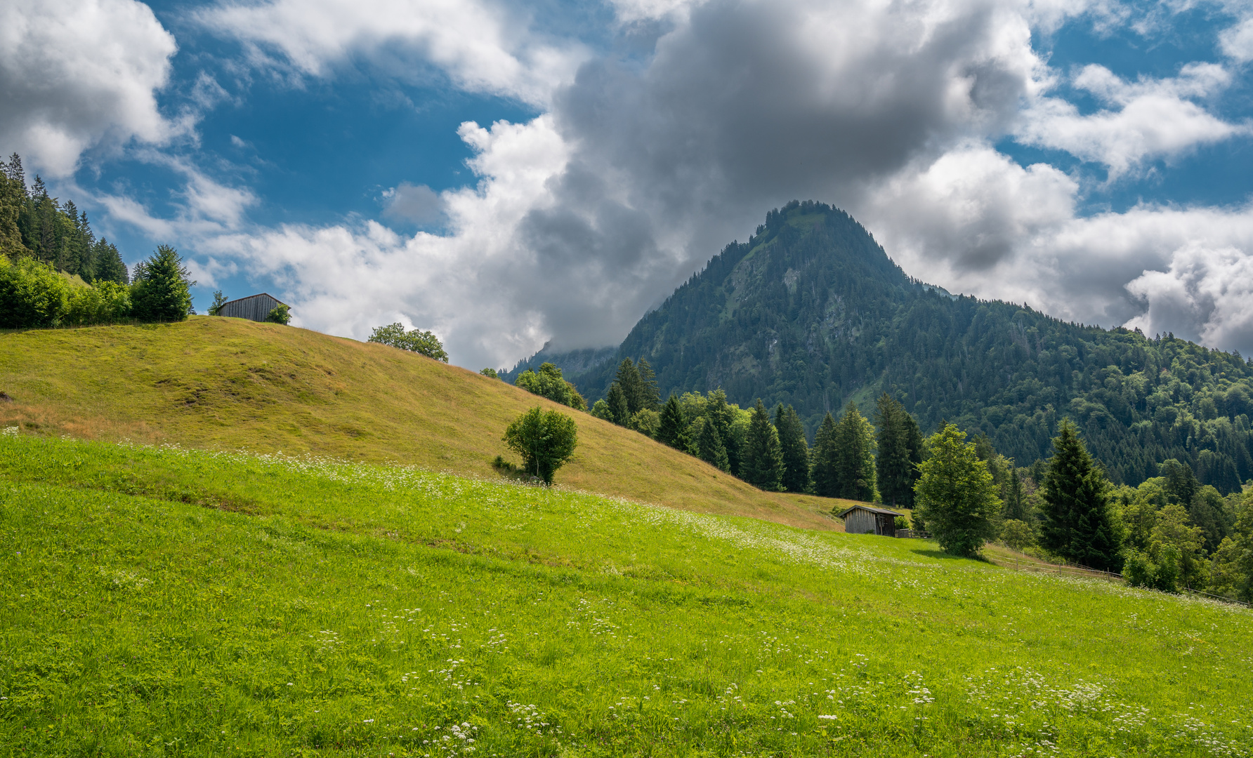 Wiesenblick bei strahlender Sonne