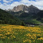 Wiesenblick für Heinz...