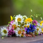 Wiesenblumen im Mai