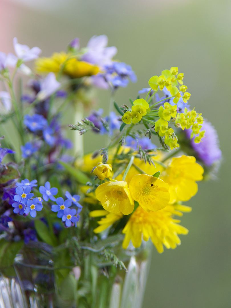 Wiesenblumenstrauß 3