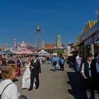 Wiesenbummel ganz in weiss