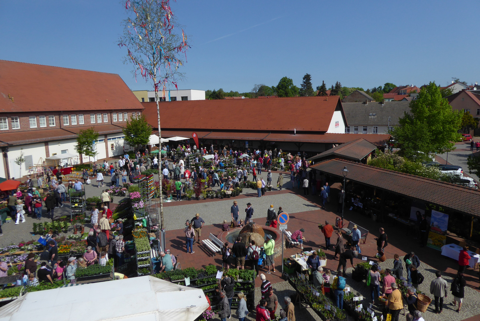 Wiesenburger Blumenmarkt zum Muttertag