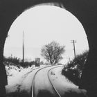 Wiesenfelder Tunnel