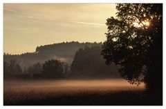 Wiesenglühen