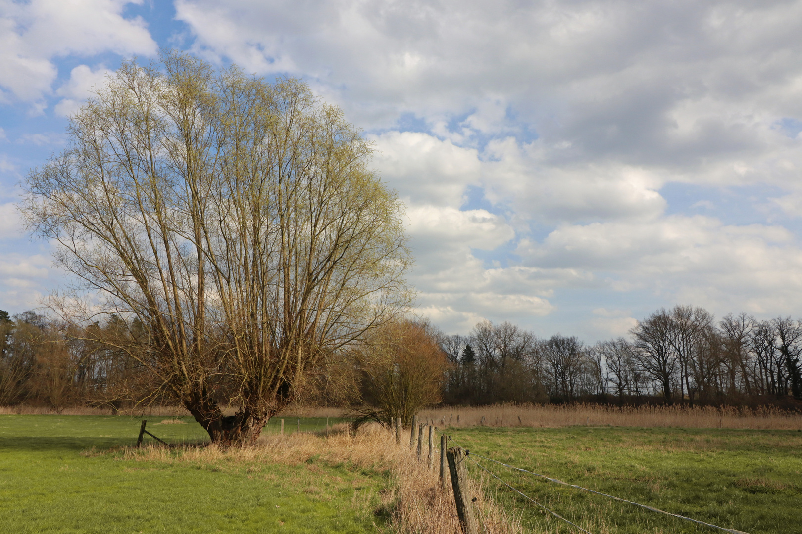 Wiesengrund bei Veltenhof