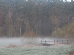 Wiesengrund im Morgenlicht