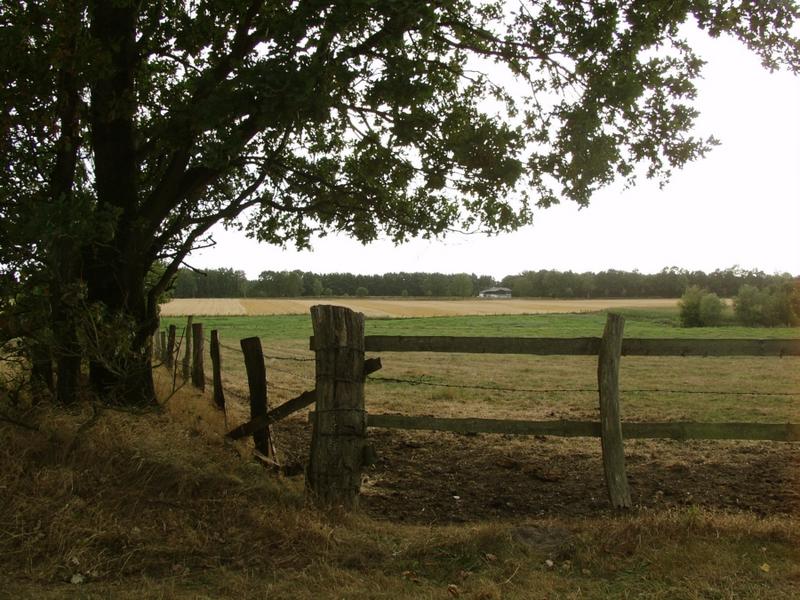 Wiesengrund in Schleswig-Holstein