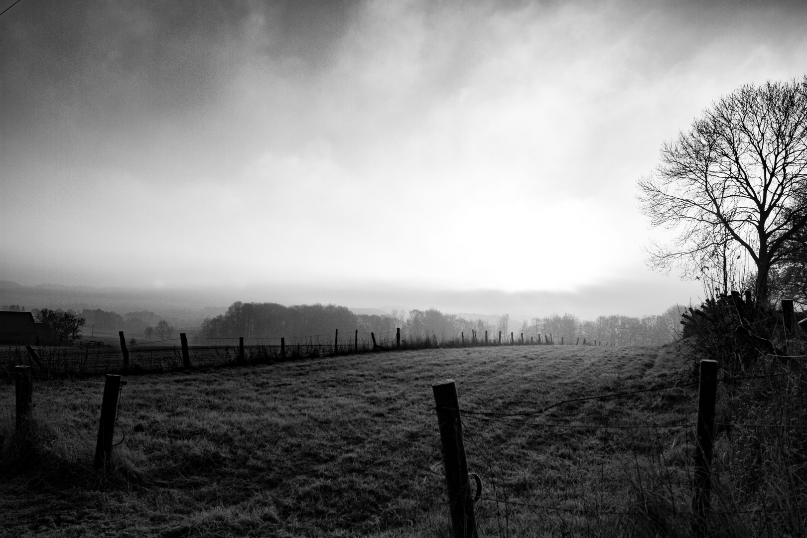 Wiesenherbst