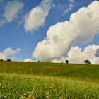 WiesenHimmel