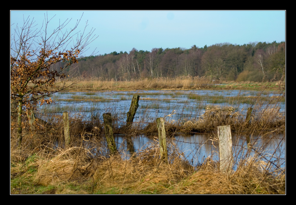 Wiesenlandschaft