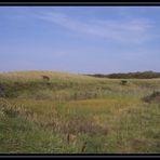 Wiesenlandschaft