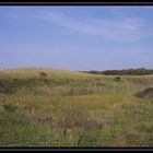 Wiesenlandschaft