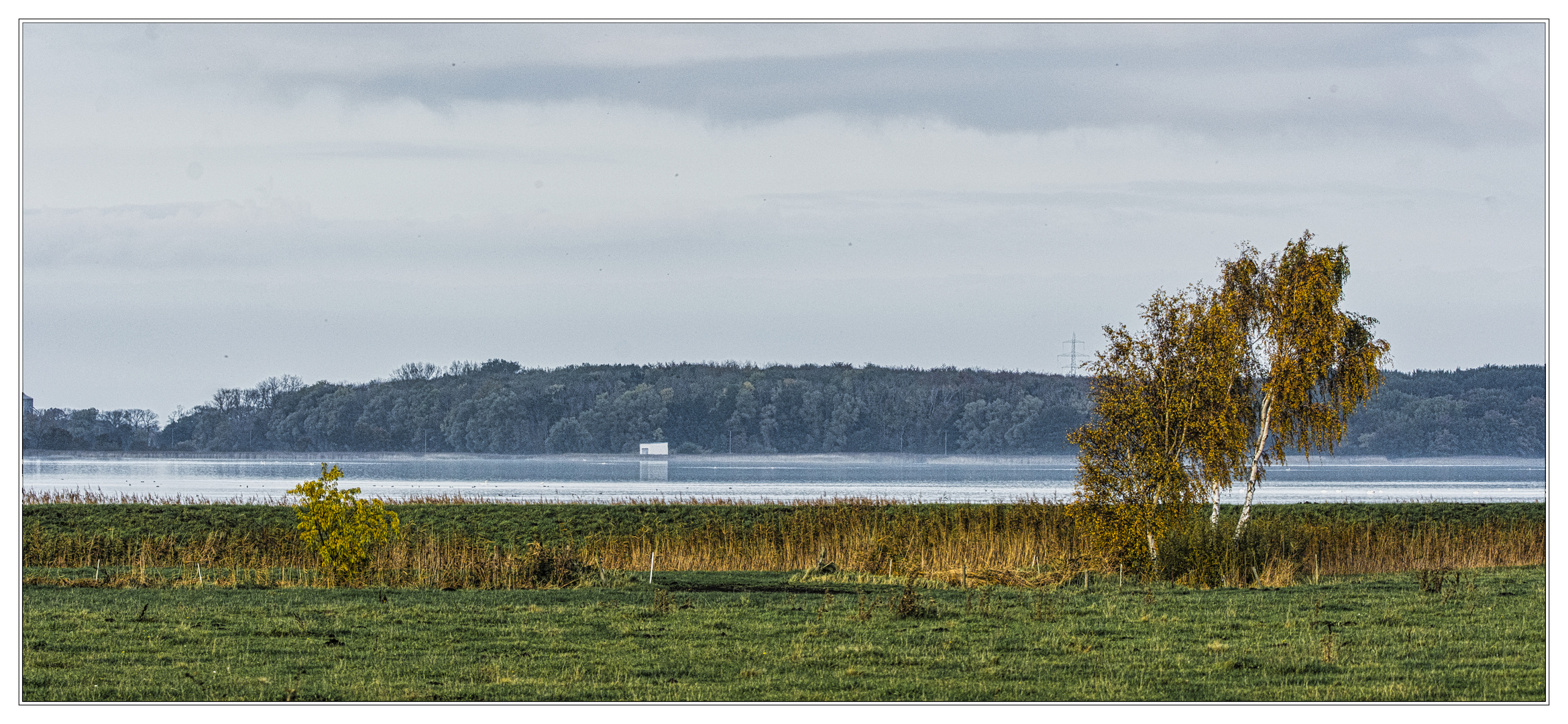 Wiesenlandschaft auf Ummanz