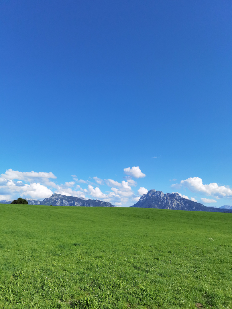 Wiesenlandschaft bei Füssen