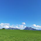 Wiesenlandschaft bei Füssen